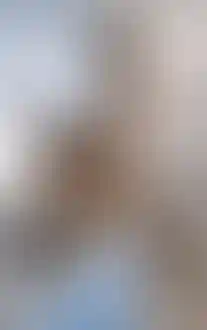 Подберите квартиру