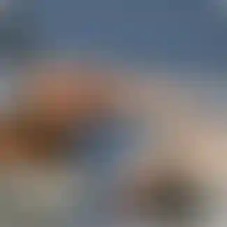 Договорились — выполнили