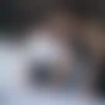 Мы ― команда