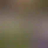 Всегда в развитии