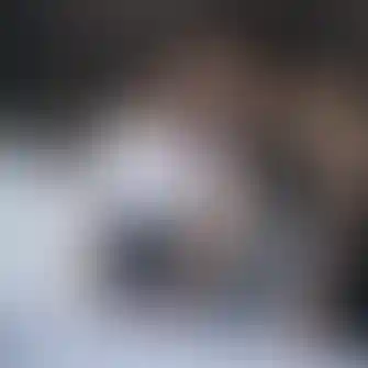 Мы ― команда