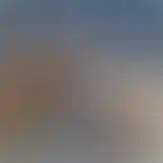 Договорились ― выполнили