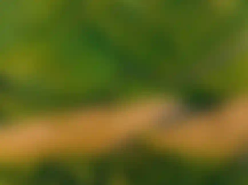 Изображение баннера