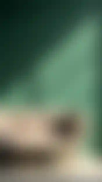 <p>Девелопмент</p>