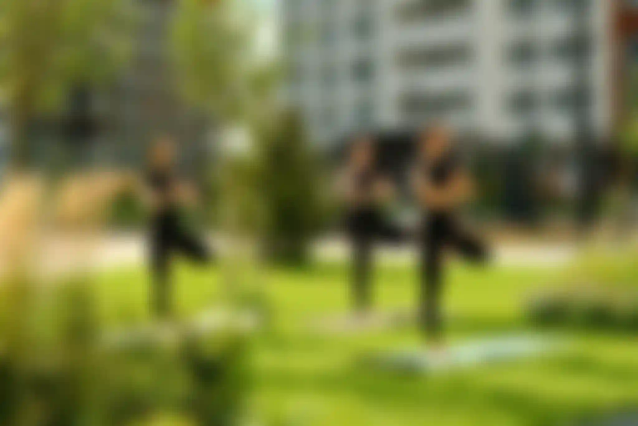 Изображение истории