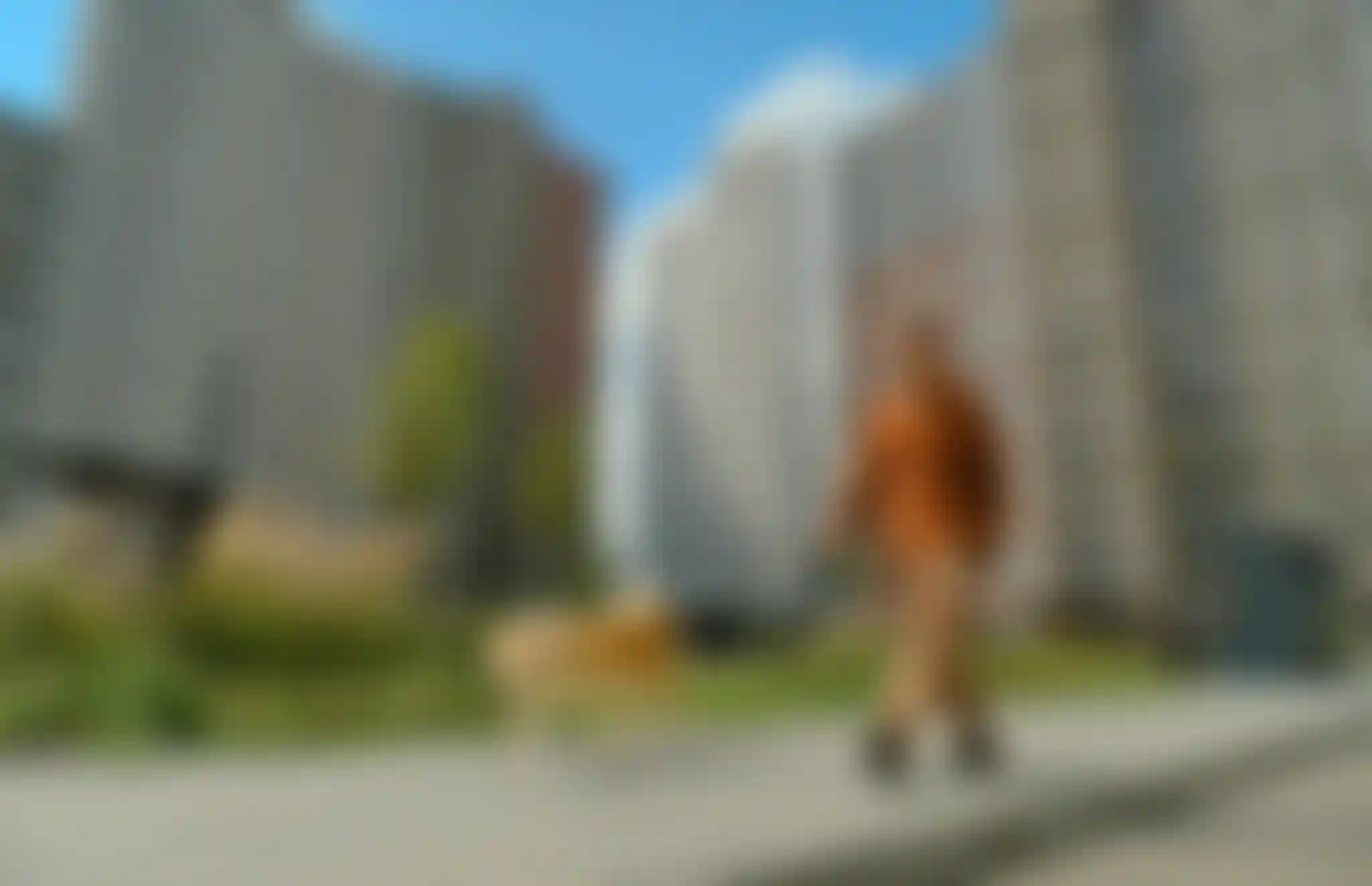 Изображение истории