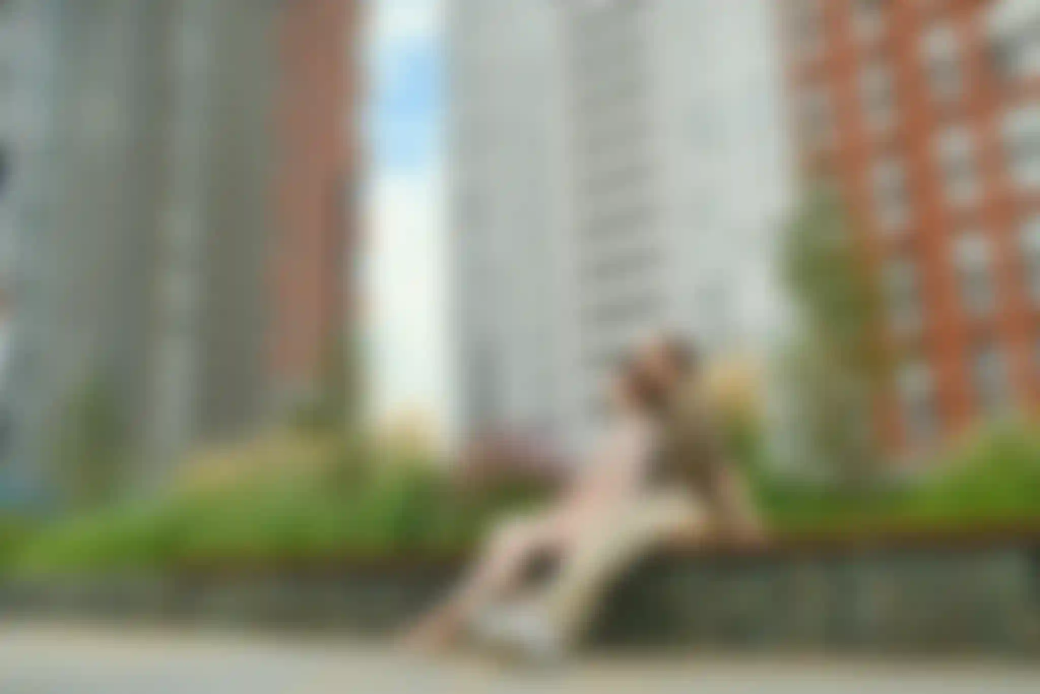 Изображение истории