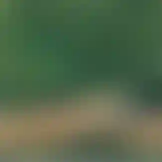 <p><span style="white-space:pre-wrap;">445 га</span></p>