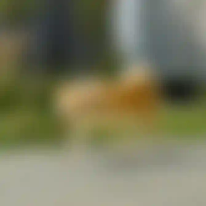 Изображение истории