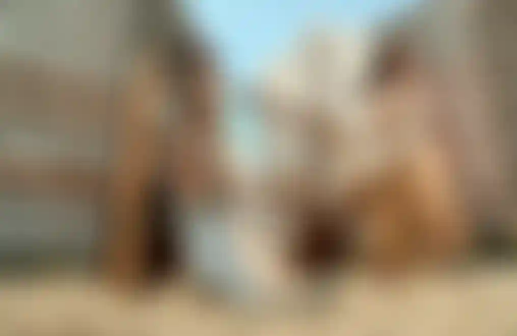 Изображение - 5