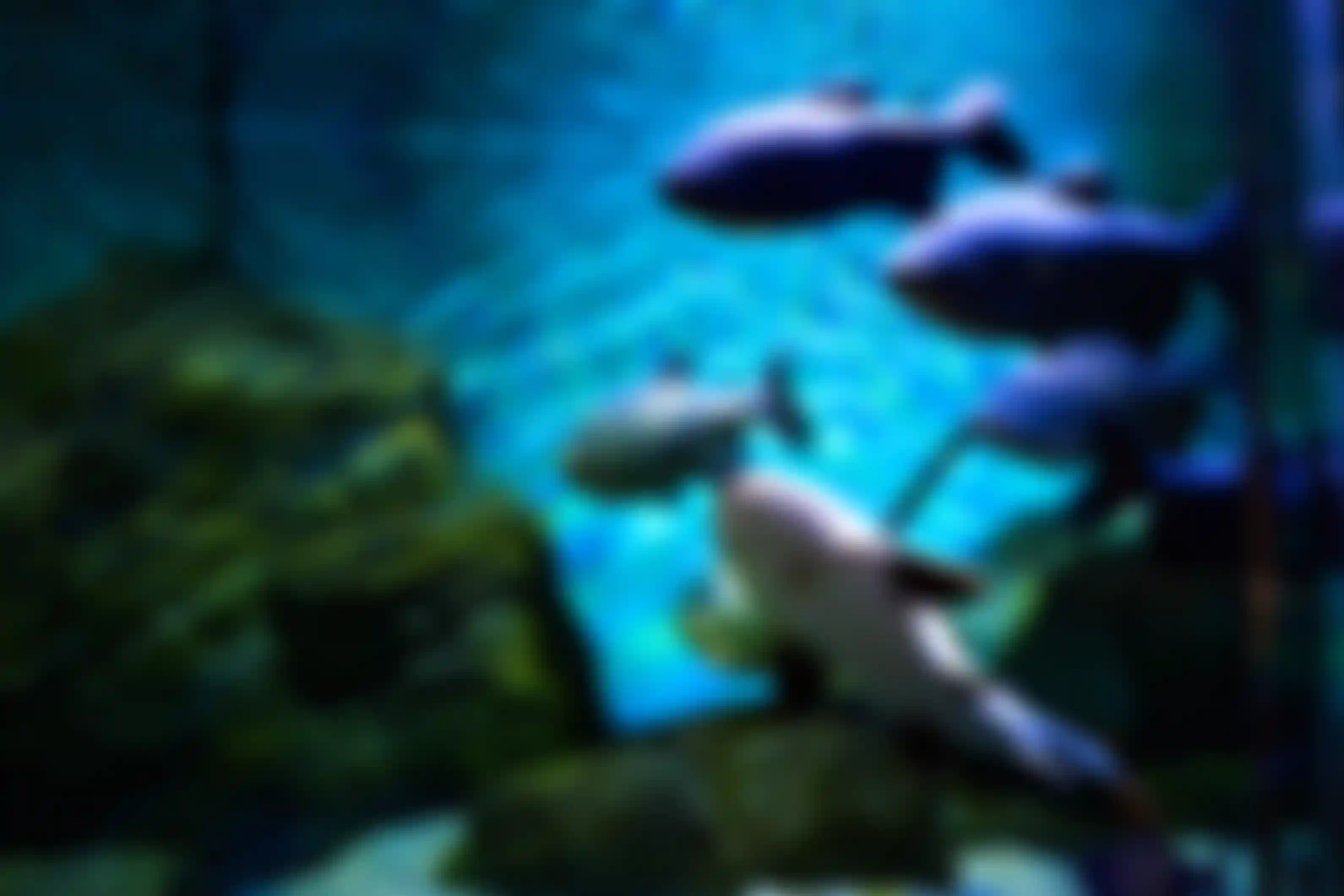 Изображение - 9