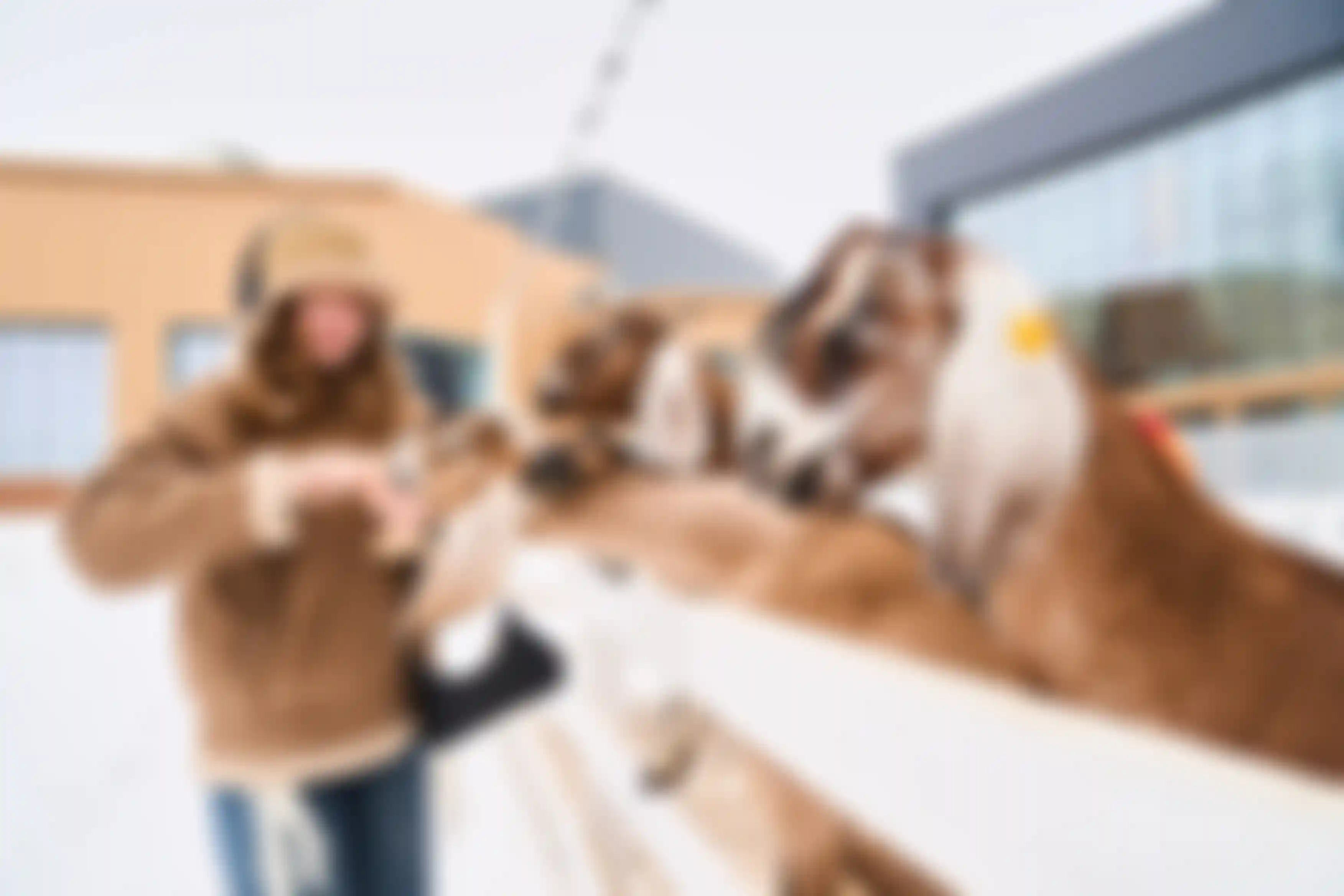 Изображение - 12