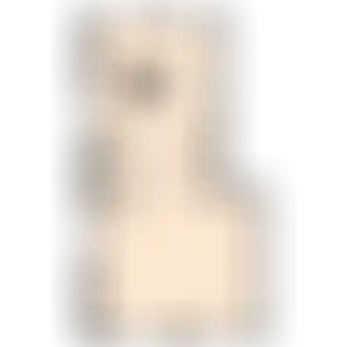 Помещение  107.94 м² - Изображение