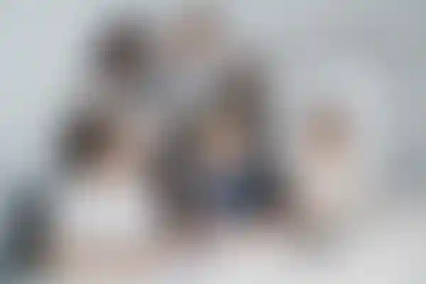 Главное изображение новости