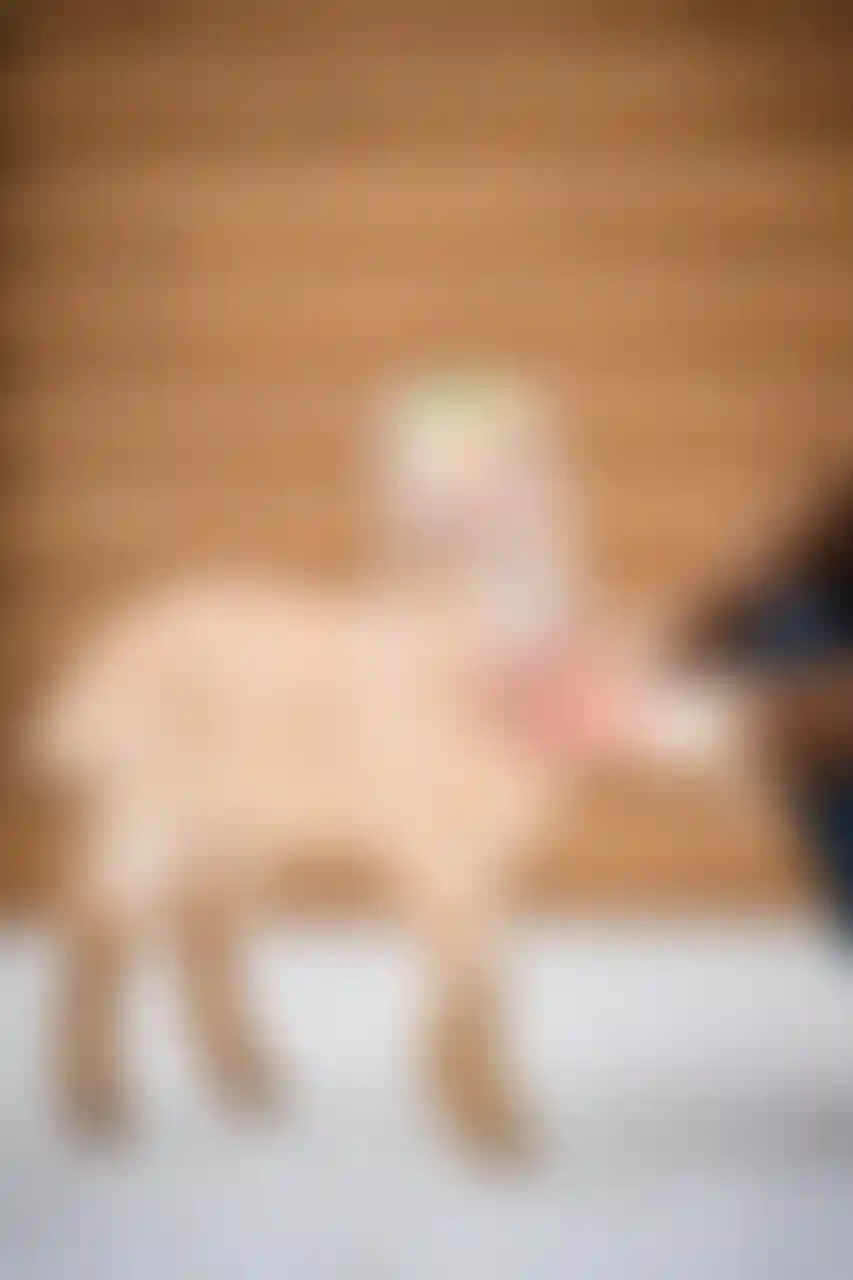 Главное изображение новости