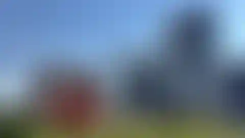 Главное изображение новости