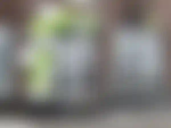 Первый соседский центр в&nbsp;Самарской области отмечает год работы