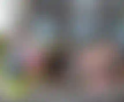 Главное изображение новости