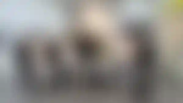 «Глобал Вижн» рассказал инвесторам, почему откладывать покупку недвижимости рискованно