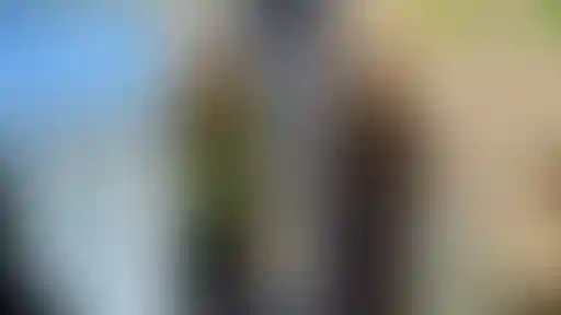 Главное изображение новости