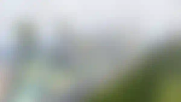 Изображение публикации