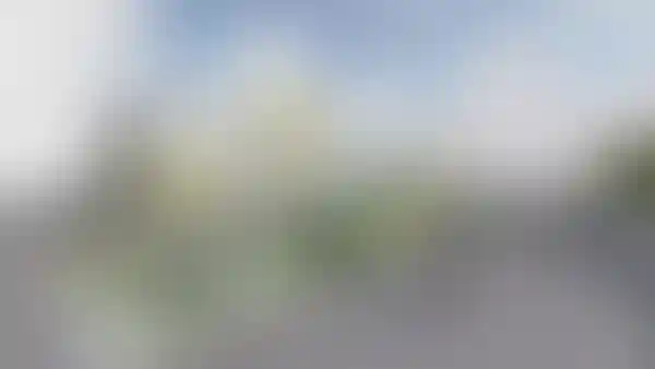 Изображение публикации