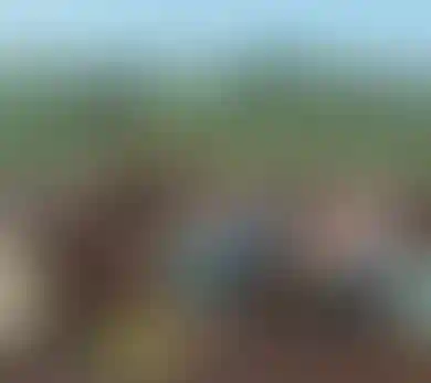 Изображение публикации