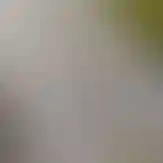 <p>Транспорт</p>