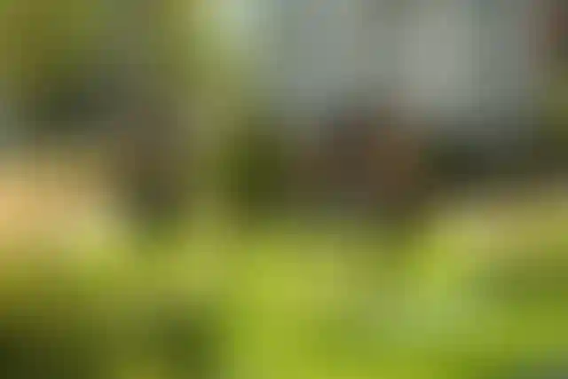 Изображение - 1