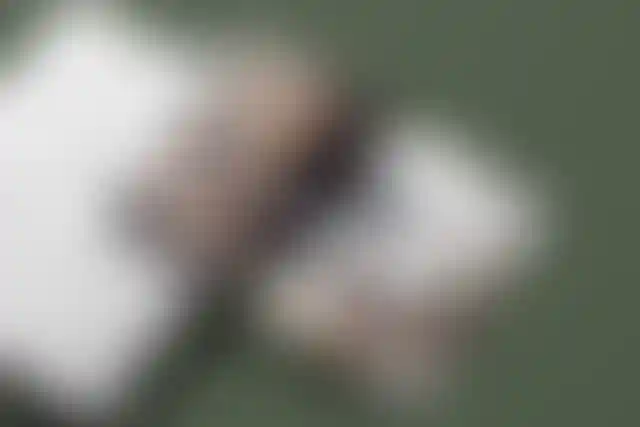 Изображение - 65