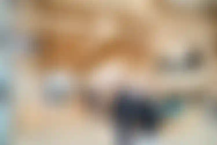 Изображение - 26