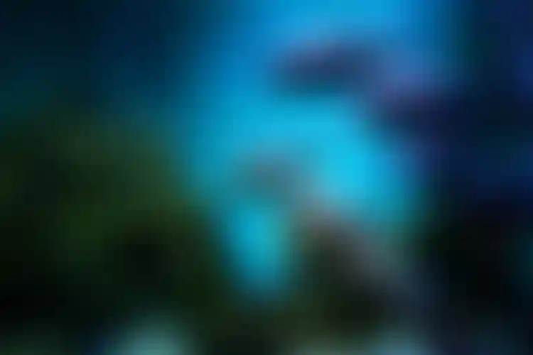 Изображение - 4