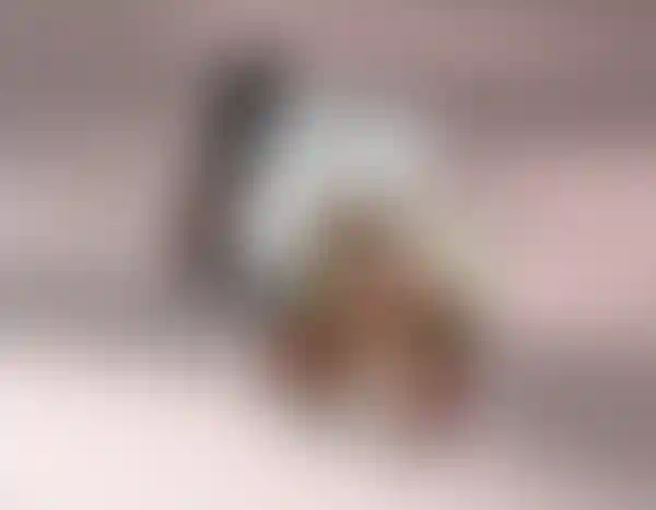 Изображение - 62