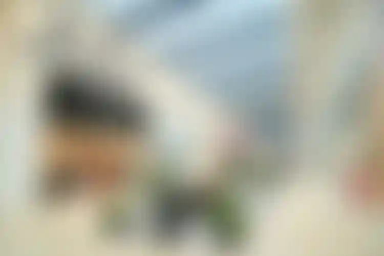 Изображение - 28