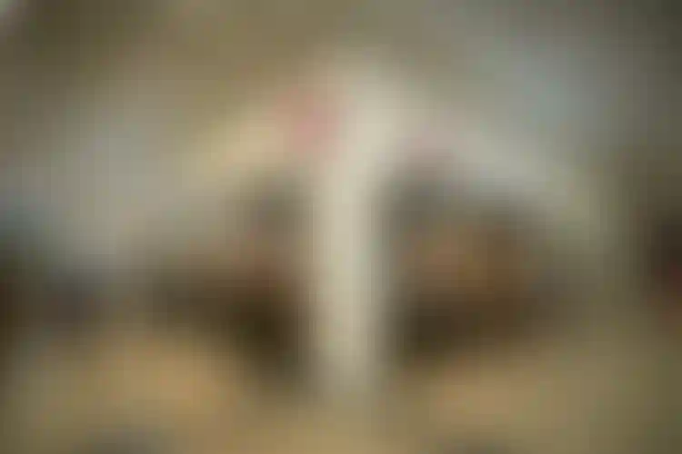 Изображение - 14