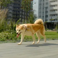 Изображение истории